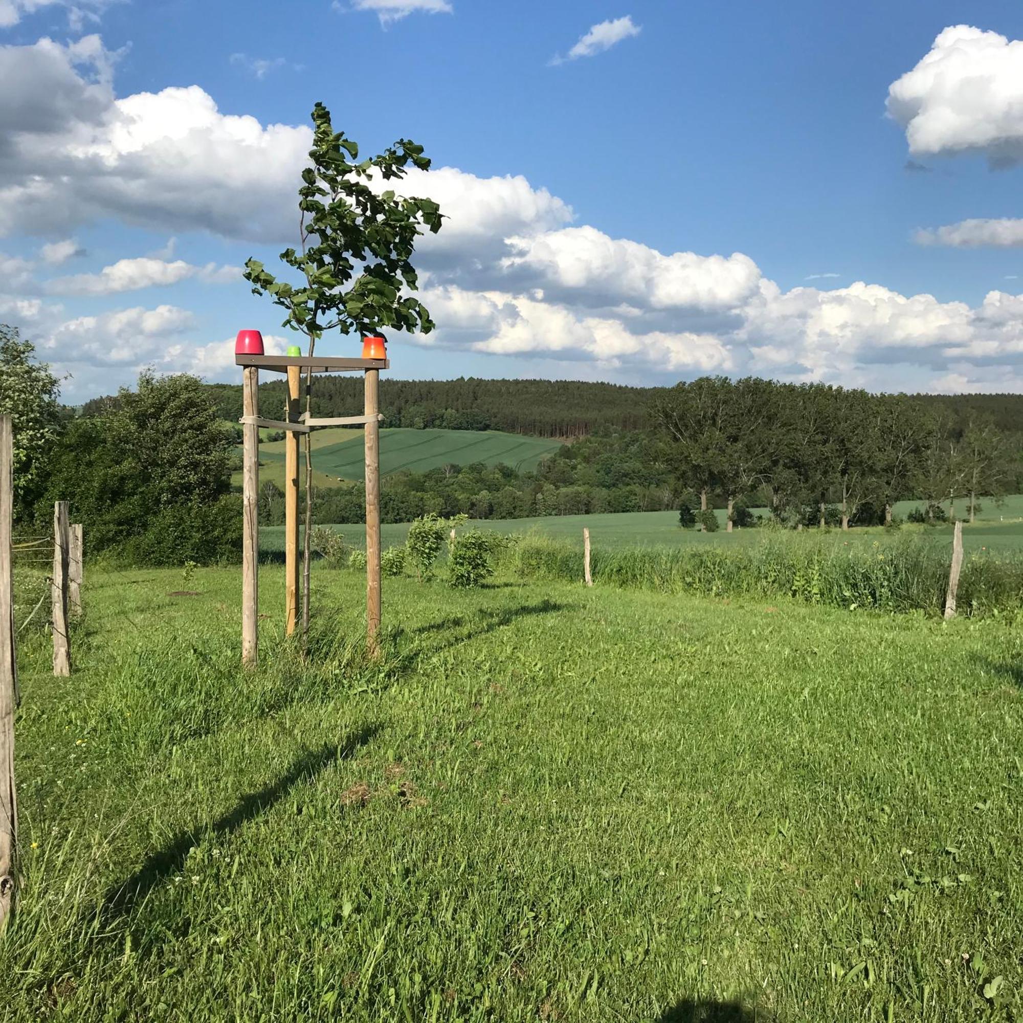 Energietanken Vor Den Toren Dresdens -Barrierefrei- Dippoldiswalde Esterno foto